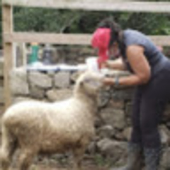 Meet your Posher, Drmom4u2 - Picture 1 of 1